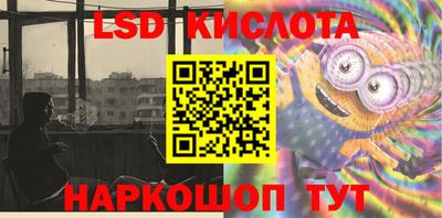 дмт Бийск