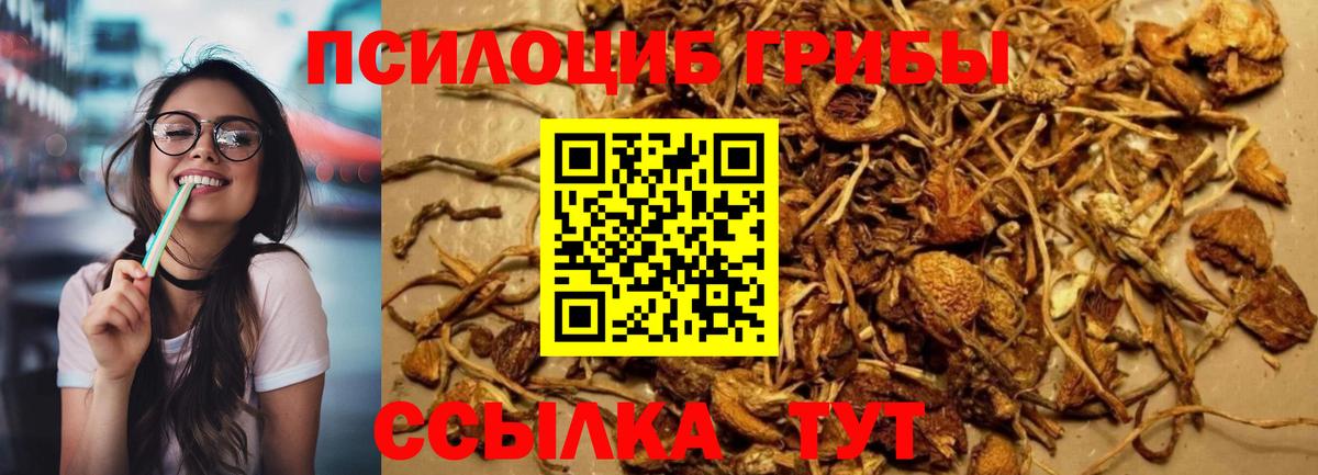 Галлюциногенные грибы мухоморы  Псилоцибиновые грибы Magic Shrooms  продажа наркотиков  Ростов Великий  Вход с VPN 