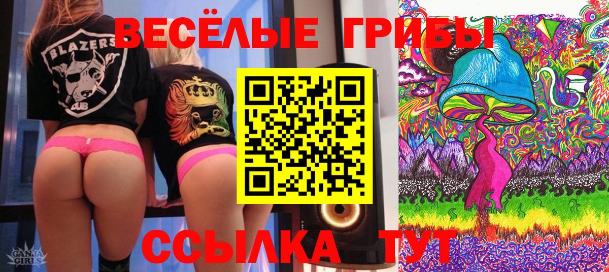 Псилоцибиновые грибы мицелий Ростов Великий